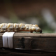 Image for article titled Transgenic silkworms spin glowing fluorescent silk